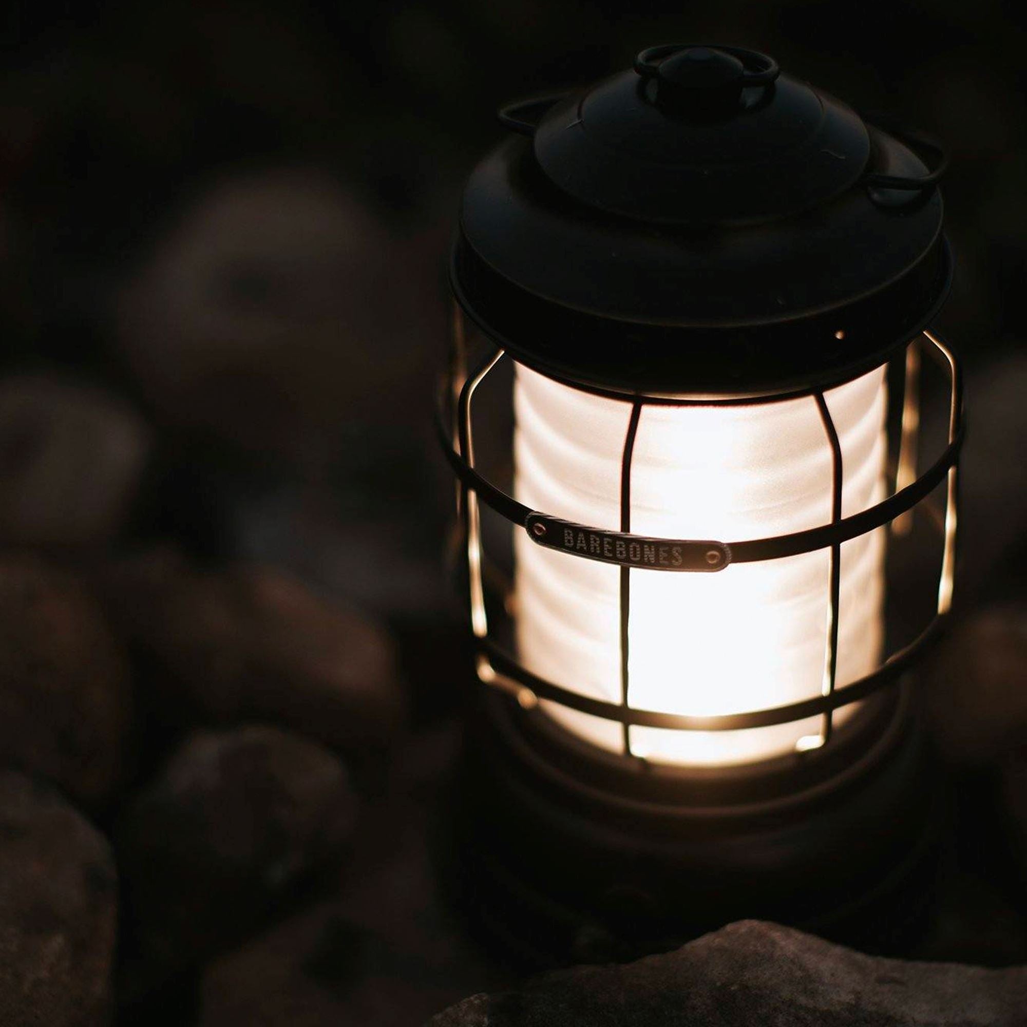 Forest Lantern - Antique Bronze